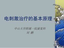 电刺激治疗的基本原理课件