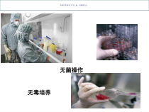 动物细胞工程医学知识课件