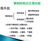 动眼神经解剖医学课件