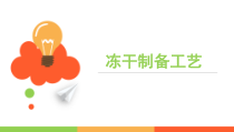 冻干制剂工艺研究医学课件