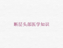 断层头部医学知识培训课件