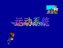 堆体束损害的常见综合征医学课件