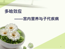 多哈理论终板医学课件