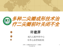 多种二尖瓣成形技术治疗二尖瓣前叶关闭不全课件