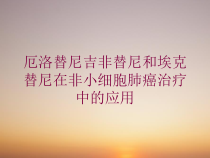 厄洛替尼吉非替尼和埃克替尼在非小细胞肺癌治疗中的应用培训课件
