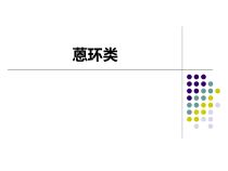 蒽环类医学课件