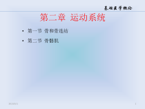 二基础医学概论运动系统课件