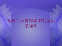 发酵工程青霉素的制备医学知识培训课件