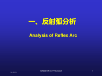 反射弧分析医学知识宣讲课件