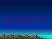 防治原则和治疗方法培训课件