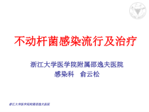 泛耐药鲍曼不动感染流行及治疗课件