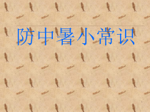 防中暑小常识医学课件
