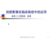 放射医学影像在临床急诊中的应用课件