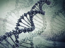 放射治疗技术第三章生物课件