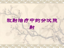 放射治疗中的分一次照射培训课件