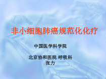 非小细胞肺癌的规范化治疗及进展S讲解课件
