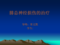腓总神经损伤的治疗课件