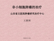 肺癌的治疗现状课件