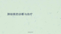 肺结核诊断治疗课件