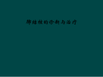 肺结核的诊断与治疗课件