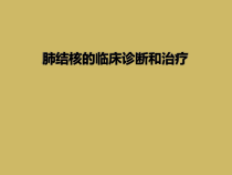 肺结核的临床诊断和治疗课件