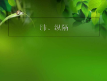 肺解剖医学课件