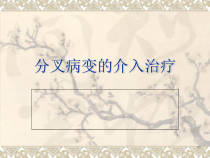 分叉病变的介入治疗学习课件