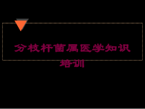 分枝杆菌属医学知识培训培训课件