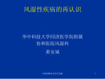 风湿病概念及治疗进展课件