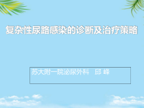 复杂性尿路感染的诊断及治疗策略课件