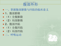 腹部检查医学宣教课件