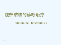 腹部结核的诊断治疗课件