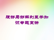腹部局部解剖医学知识专题宣讲培训课件