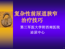 复杂性前尿道狭窄治疗技巧课件