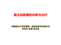 腹主动脉瘤的诊断与治疗课件