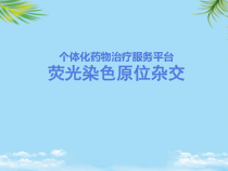 个体化医学的临床应用课件