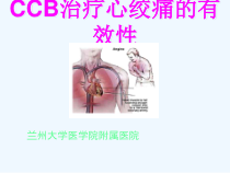 钙拮抗剂治疗心绞痛介绍课件
