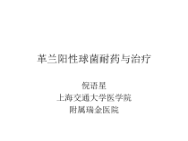 革兰阳性球菌耐药与治疗课件