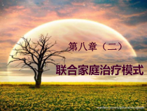 个案工作萨提亚家庭治疗模式课件