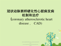 冠状动脉粥样硬化性心脏病发病机制及治疗coronaryatheroscleroticheartdi课件
