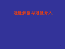 冠状动脉解剖与介入医学课件