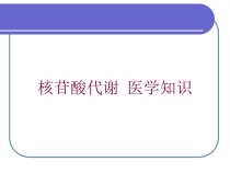 核苷酸代谢-医学知识培训课件