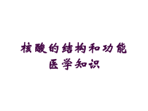 核酸的结构和功能医学知识培训课件