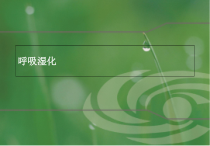 呼吸治疗最佳湿化学习课件