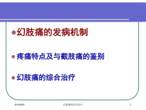 幻肢痛的综合治疗培训课件