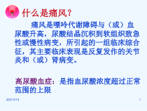 高尿酸血症与痛风大连医学会课件