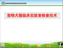 工作任务21-1宠物犬猫临床实验室检查技术课件