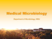 哈尔滨医科大医学微生物课件-第4章-病毒的基本性状