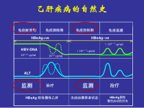 韩清锡慢性乙肝疾病进展的评价指标及治疗策略课件