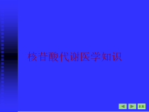 核苷酸代谢医学知识培训课件